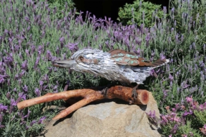 Chris Fussell Kookaburra