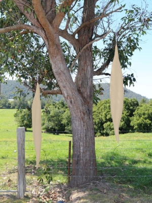 Jan Shaw Seedpods