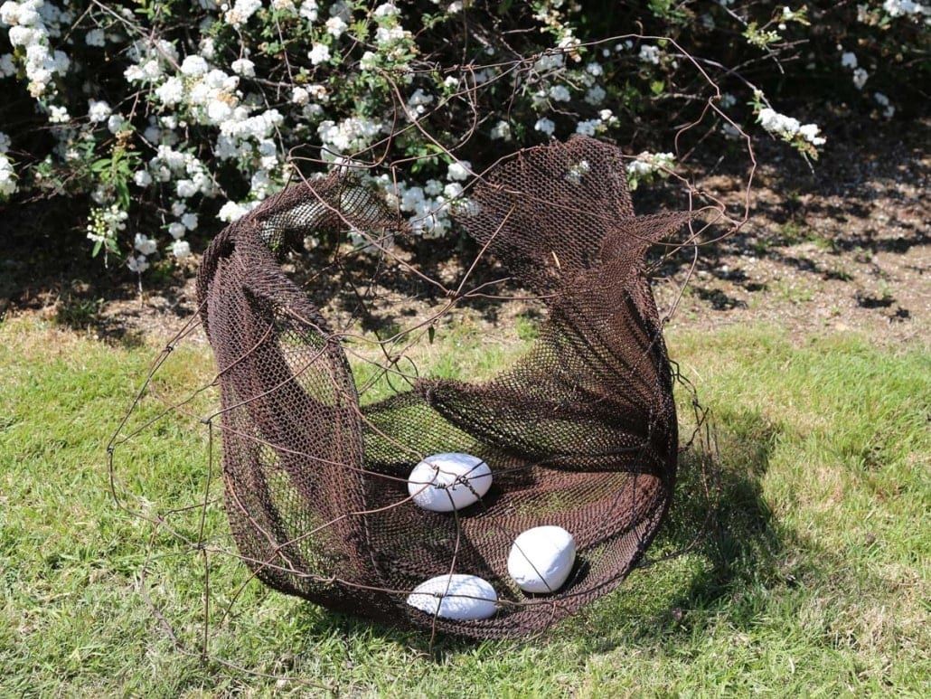 Nest