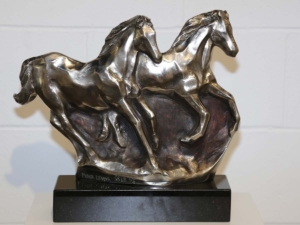 Peter Lewis Equus FreeSpirit