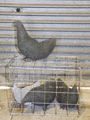 Roz Stampfli Chooks in the City