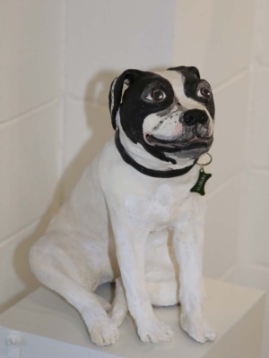 Sandra Jones American Boxer Dog