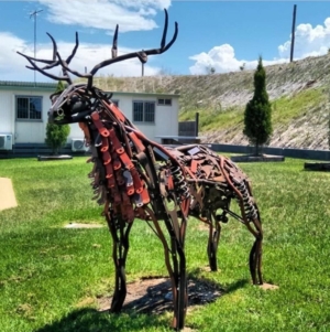 Tobias Bennett Big Old Buck