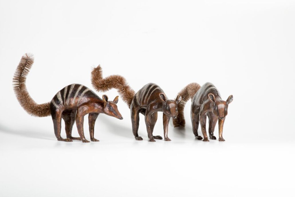 Numbat