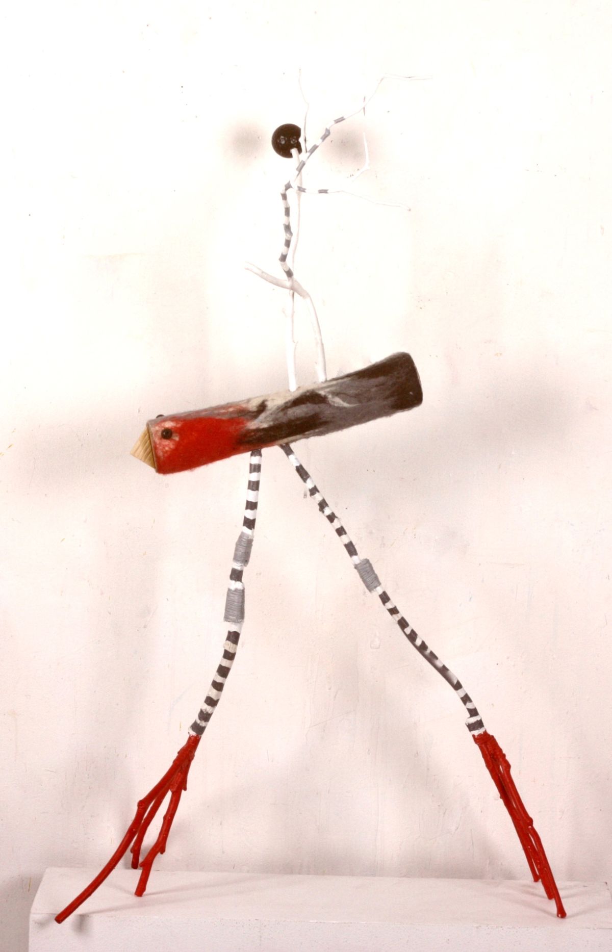 Bird with Red Legs