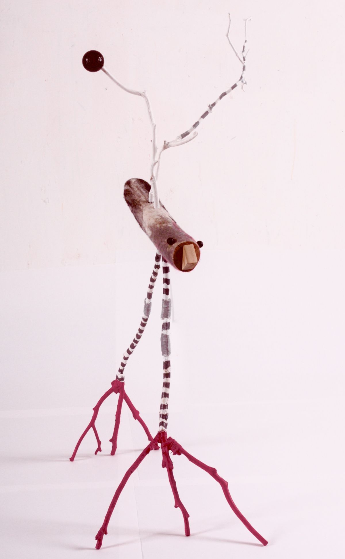 Bird with Red Legs - Image 2