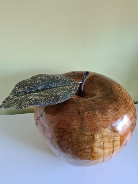 Oak Apple