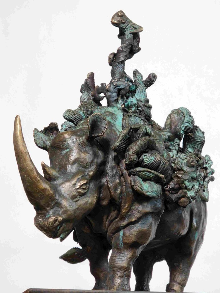 Fungi Rhino