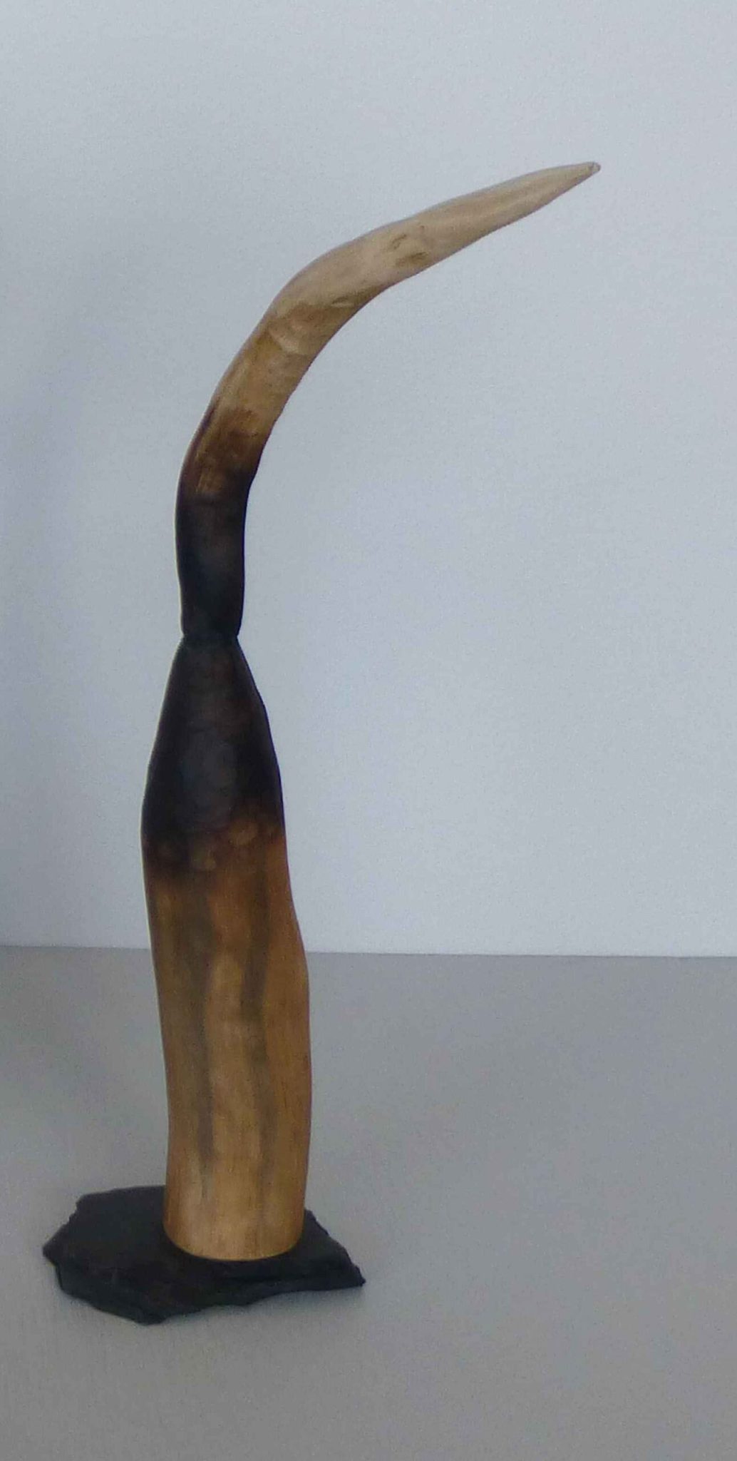 Patricia_Wilson_Adams_From_the_poets_garden_1_detail_timber_Sculpture_onthe_Farm_Dungog