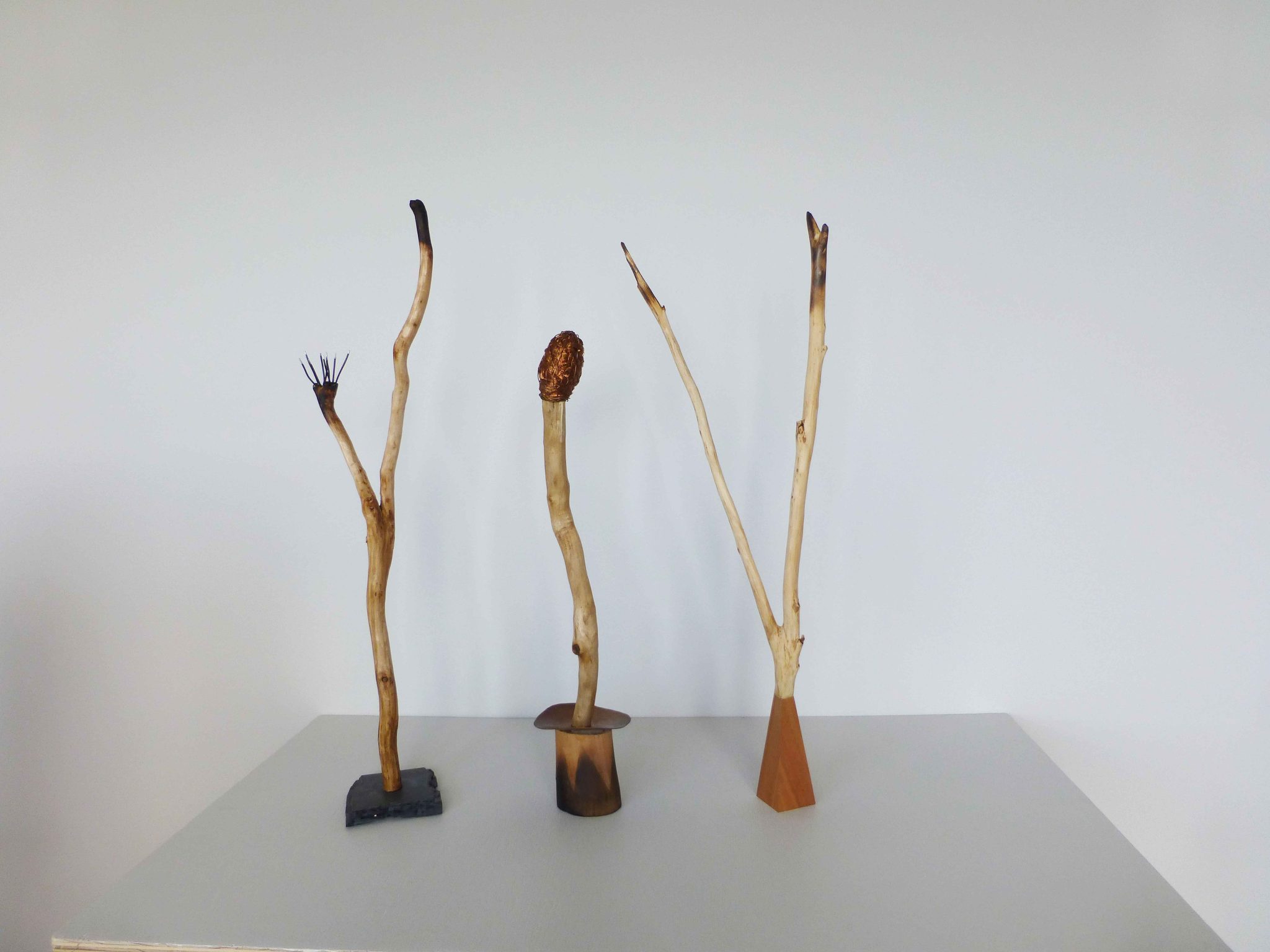 Patricia_Wilson_Adams_From_the_poets_garden_2_Sculpture_onthe_Farm_Dungog
