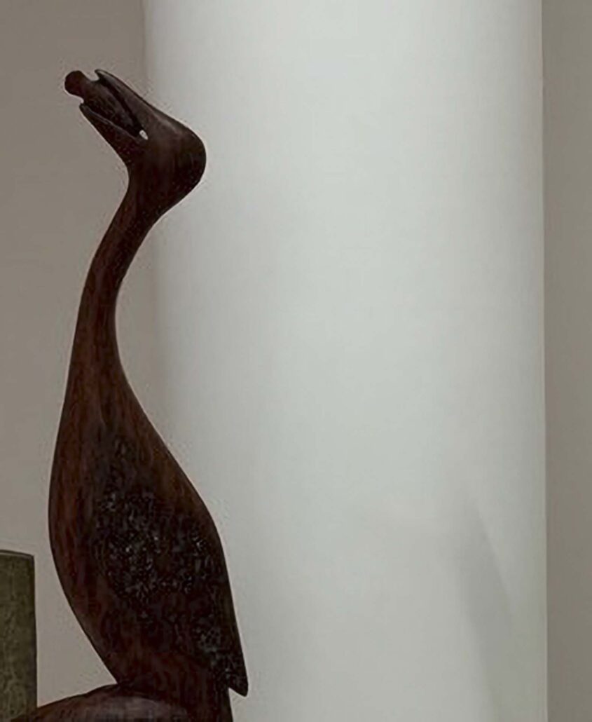 Ngartatja (Black Shag) 2 | 2020