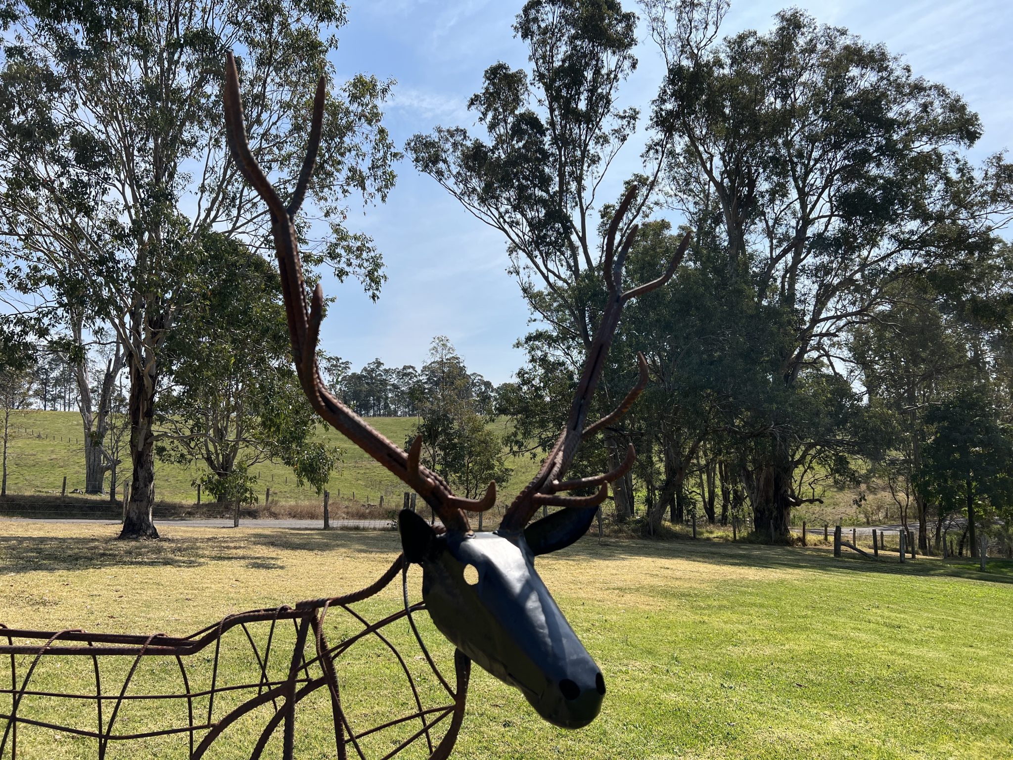 Uasal Damh - The Noble Stag | 2023 - Image 4