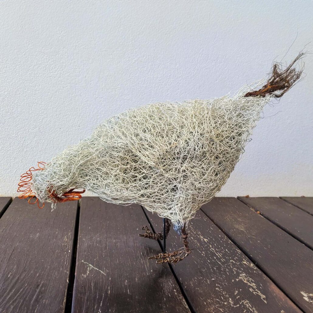 Here chook | 2023