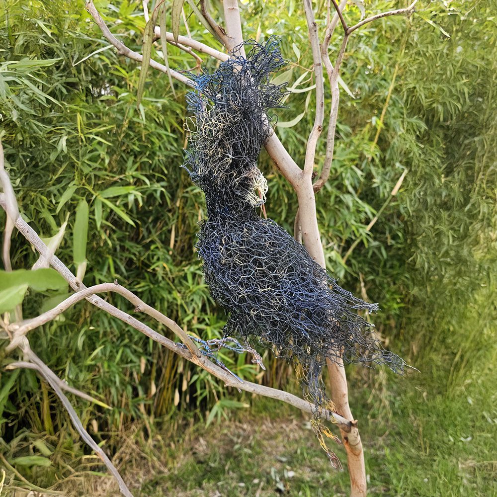 Black Cockatoo | 2025