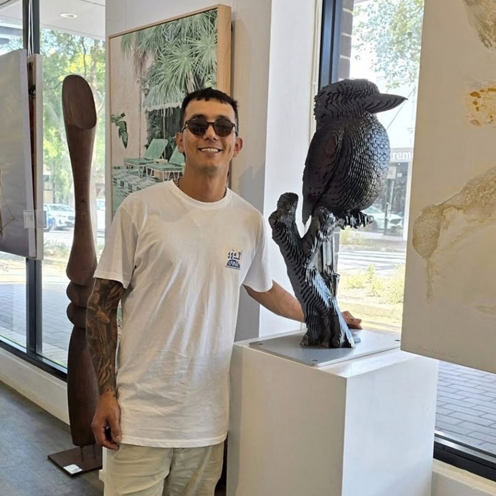 Kookaburra on the tree | 2025