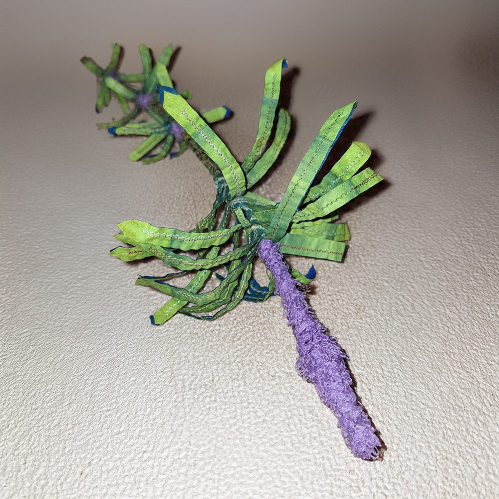 Lavender Journey | 2025